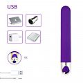 Bullet Grande - 13,7x2,1 - SI