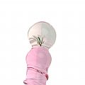 Plug Anal de Vidro com Linha em Espiral - 17,0 x 2,4 cm - SI