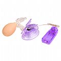 Bomba de Sucção Butterfly Vaginal Clitoral Pump com Vibrador - Roxo