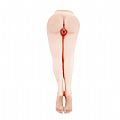 Passion Lady Masculino Vagina e Ânus com vibro - Baile