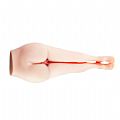 Passion Lady Masculino Vagina e Ânus com vibro - Baile