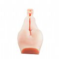 Passion Lady Masculino Vagina e Ânus com vibro - Baile
