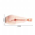 Passion Lady Masculino Vagina e Ânus com vibro - Baile